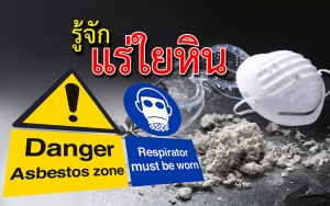 แร่ใยหิน (Asbestos)